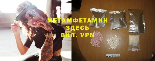 ГАЛЛЮЦИНОГЕННЫЕ ГРИБЫ Михайлов