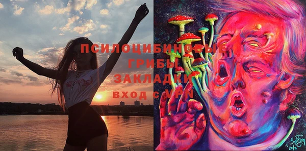 марки lsd Михайловск