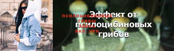 Альфа ПВП Радужный
