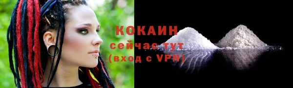 шишки Михайловка
