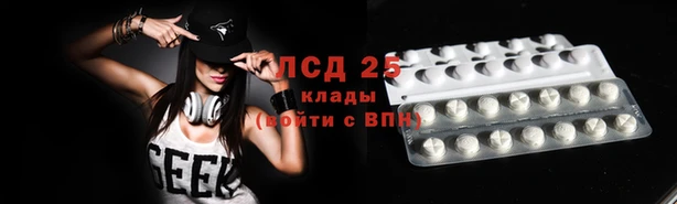 ГАЛЛЮЦИНОГЕННЫЕ ГРИБЫ Михайлов