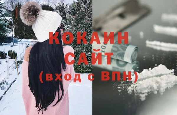 ГАЛЛЮЦИНОГЕННЫЕ ГРИБЫ Михайлов
