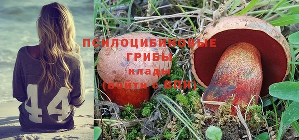 шишки Михайловка
