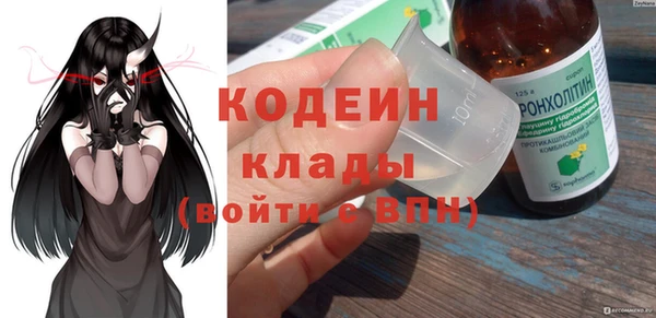 ГАЛЛЮЦИНОГЕННЫЕ ГРИБЫ Михайлов