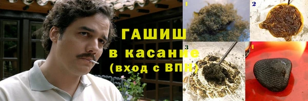ГАЛЛЮЦИНОГЕННЫЕ ГРИБЫ Михайлов