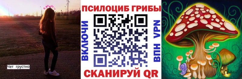 Псилоцибиновые грибы MAGIC MUSHROOMS  наркотики  Кисловодск 