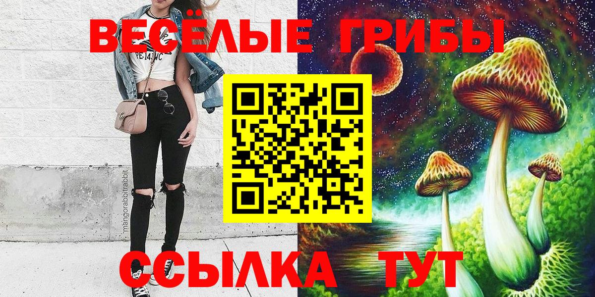 Псилоцибиновые грибы MAGIC MUSHROOMS Кисловодск