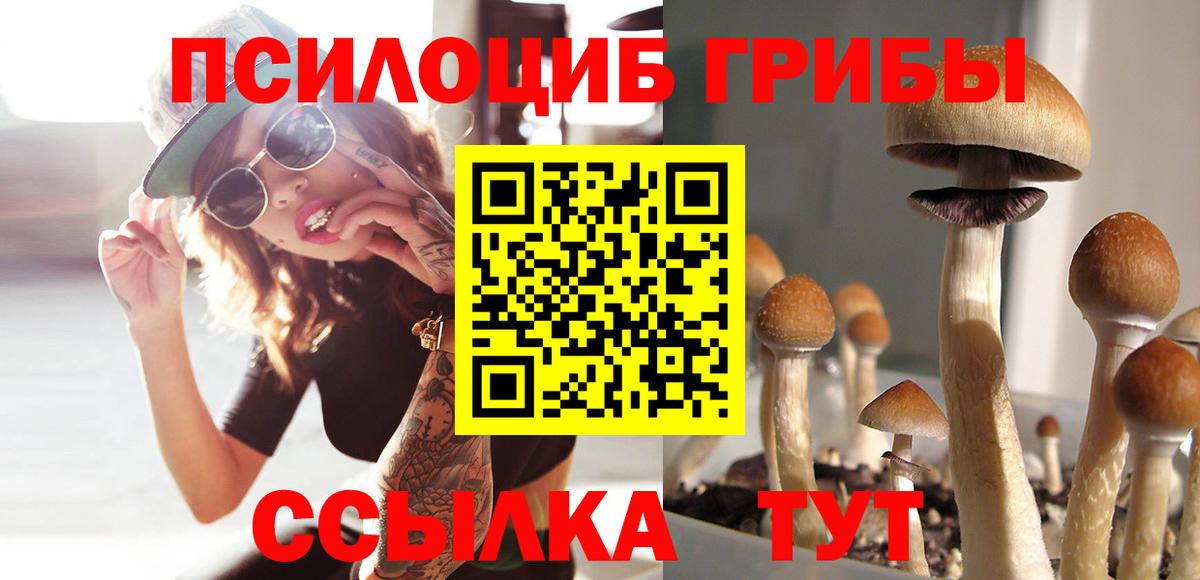 Галлюциногенные грибы GOLDEN TEACHER  Кисловодск 